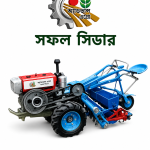 সফল সিডার